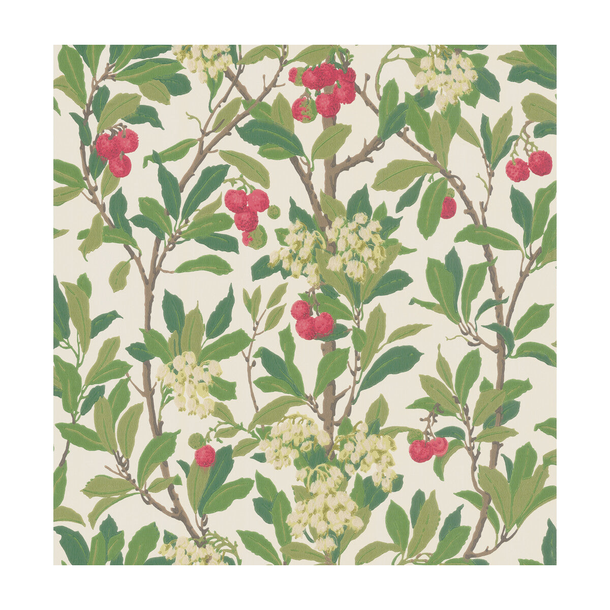 100/10049-CS STRAWBERRY TREE SCARLET & IVORY COLE & SON Wallpaper