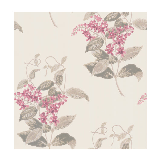 100/12058-CS MADRAS VIOLET PINK  COLE & SON Wallpaper