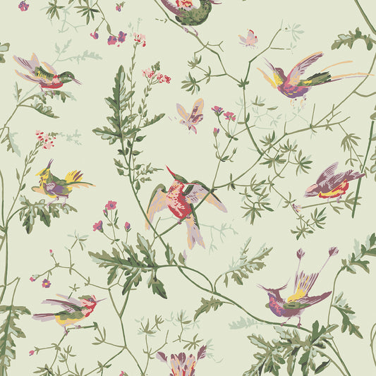 100/14070-CS HUMMINGBIRDS Green Multi-Colour Cole & Son Wallpaper