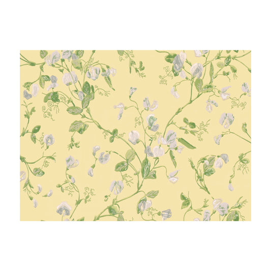 100/6029-CS SWEET PEA YELLOW COLE & SON Wallpaper