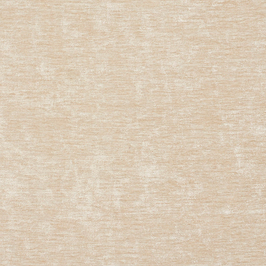 10150-17 Plain & Solid nan White & Ivory Charlotte Select