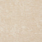 10150-17 Plain & Solid nan White & Ivory Charlotte Select
