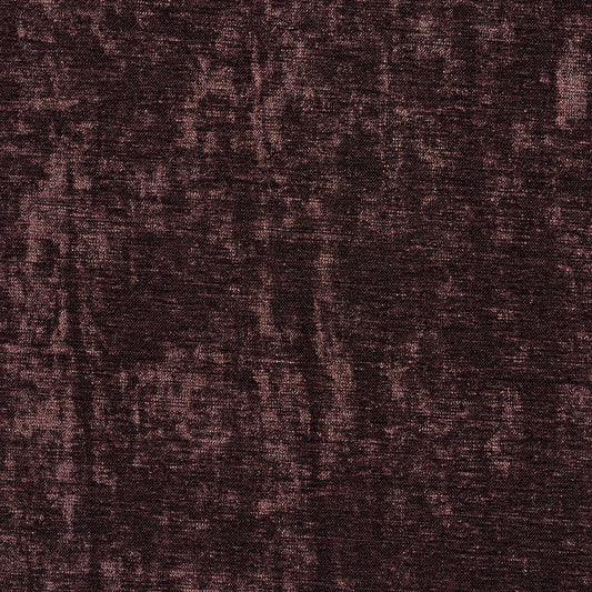 10150-20 Plain & Solid nan Purple Charlotte Select