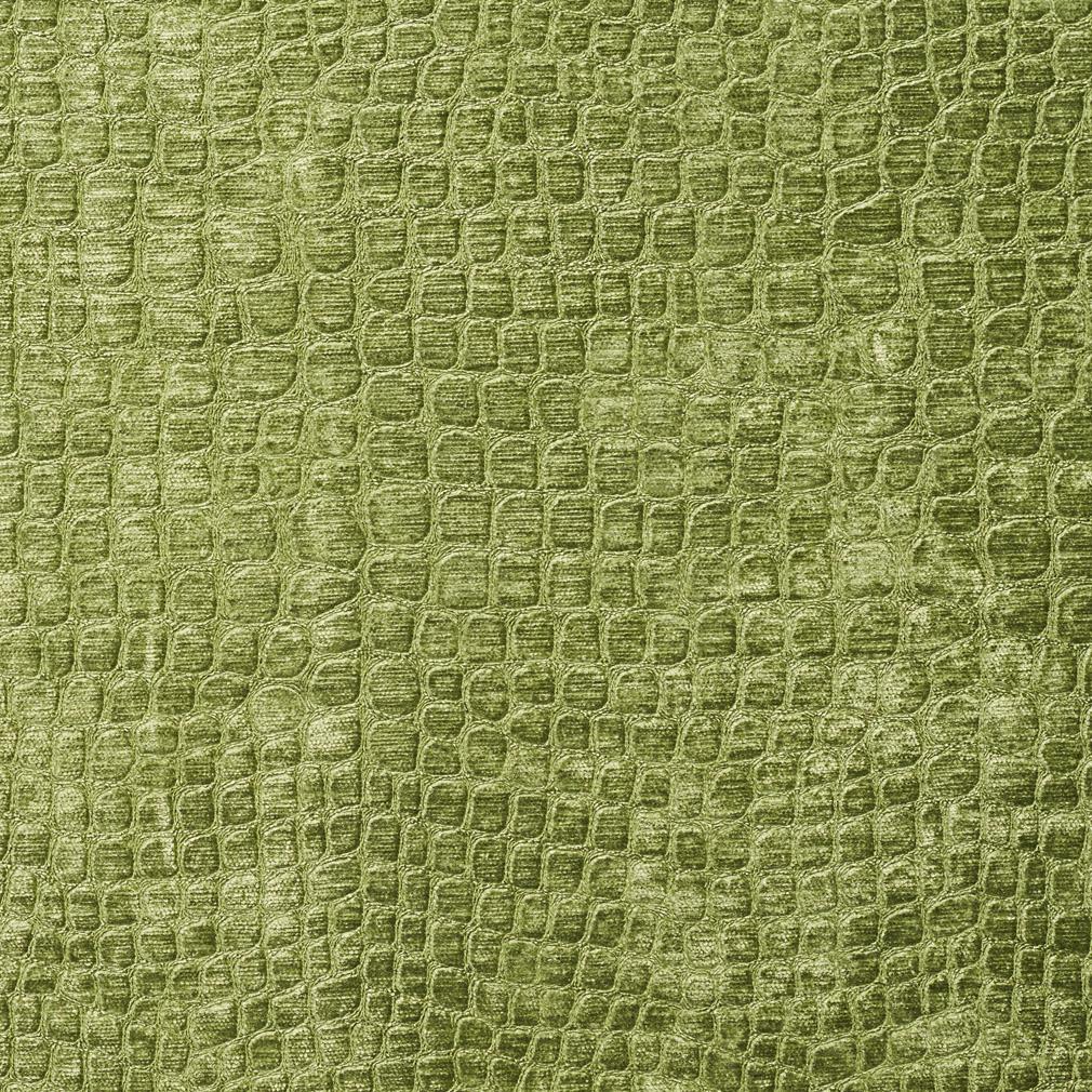 10151-01 Animal Print,Plain & Solid,Small Scale nan Green Charlotte Select