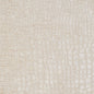 10151-02 Animal Print,Plain & Solid,Small Scale nan White & Ivory Charlotte Select