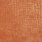 10151-04 Animal Print,Plain & Solid,Small Scale nan Orange & Rust Charlotte Select