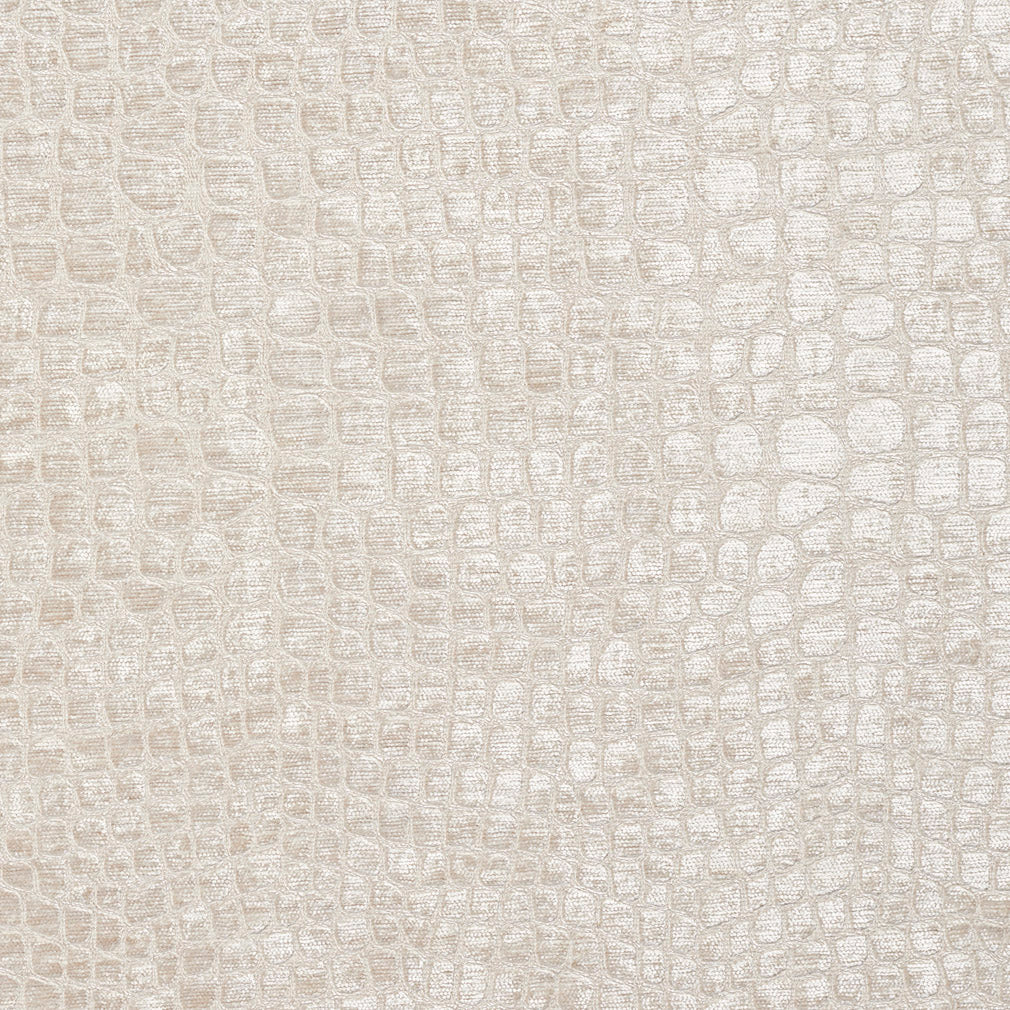 10151-05 Animal Print,Plain & Solid,Small Scale nan White & Ivory Charlotte Select