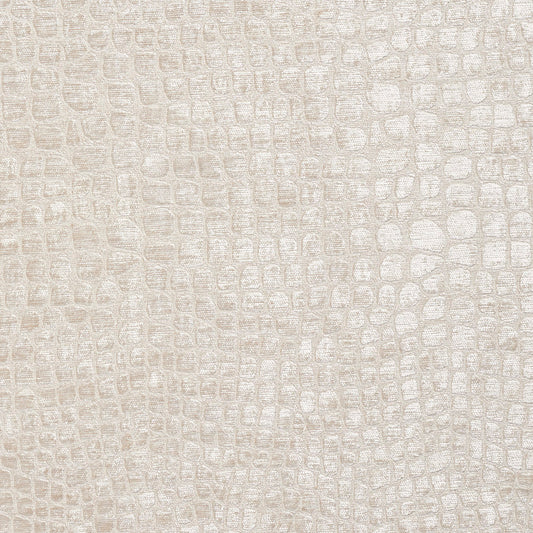 10151-05 Animal Print,Plain & Solid,Small Scale nan White & Ivory Charlotte Select
