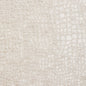 10151-05 Animal Print,Plain & Solid,Small Scale nan White & Ivory Charlotte Select