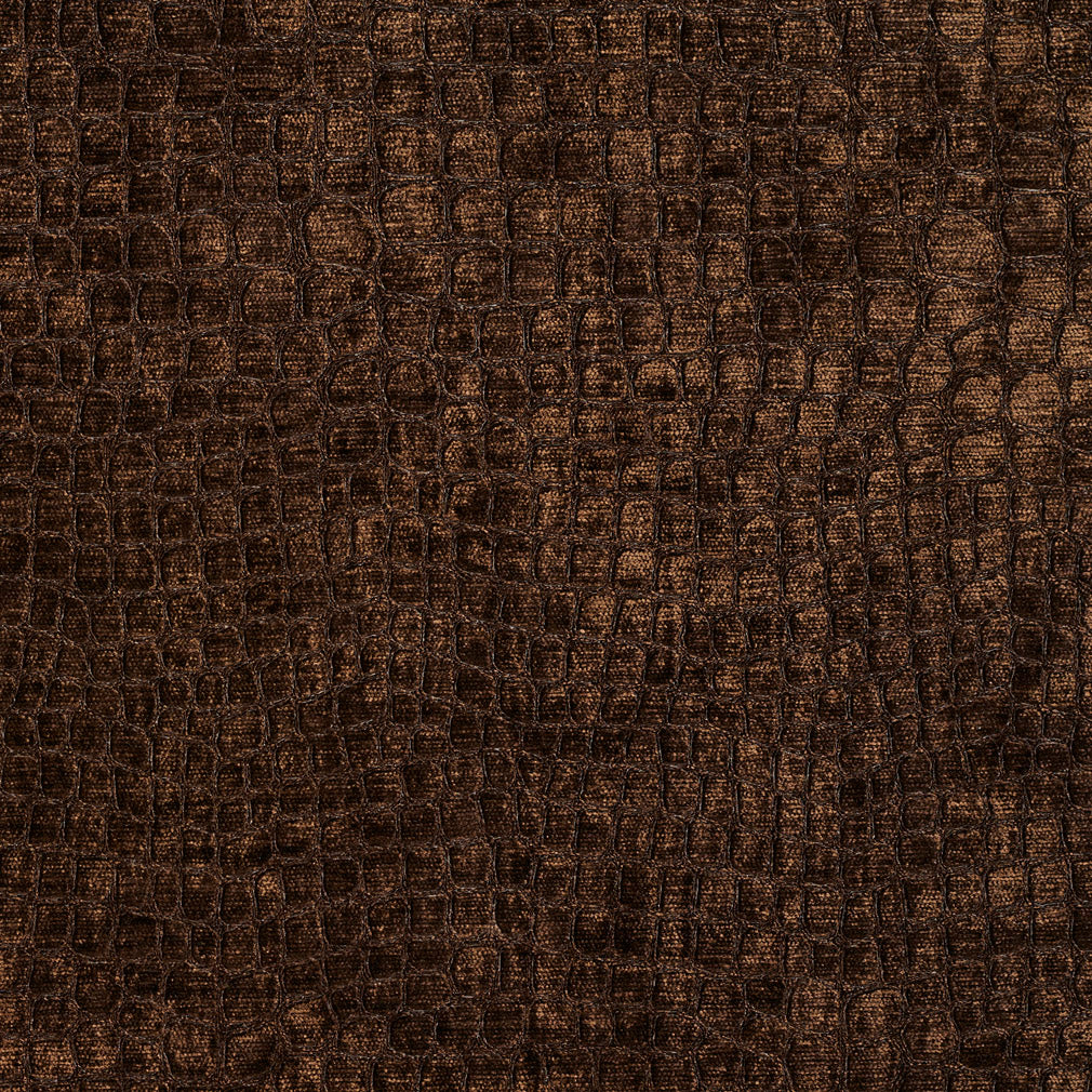 10151-06 Animal Print,Plain & Solid,Small Scale nan Brown Charlotte Select