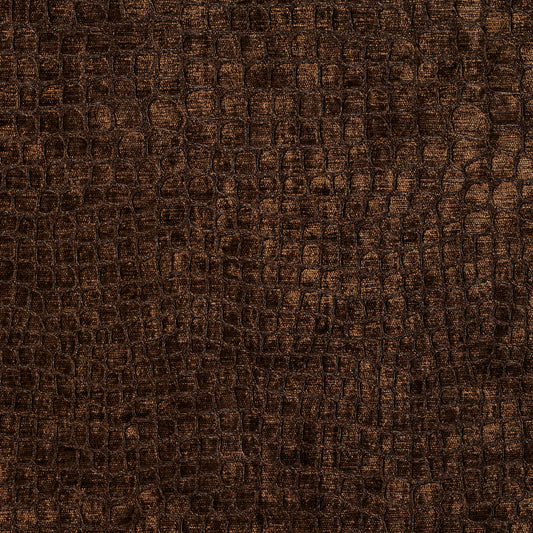 10151-06 Animal Print,Plain & Solid,Small Scale nan Brown Charlotte Select