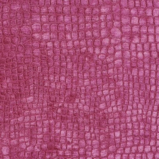 10151-08 Animal Print,Plain & Solid,Small Scale nan Pink Charlotte Select