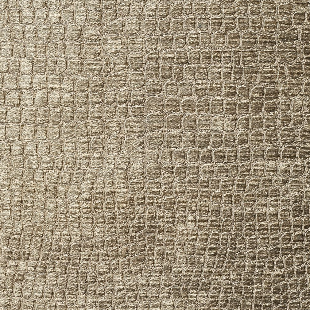 10151-15 Animal Print,Plain & Solid,Small Scale nan Beige & Taupe Charlotte Select