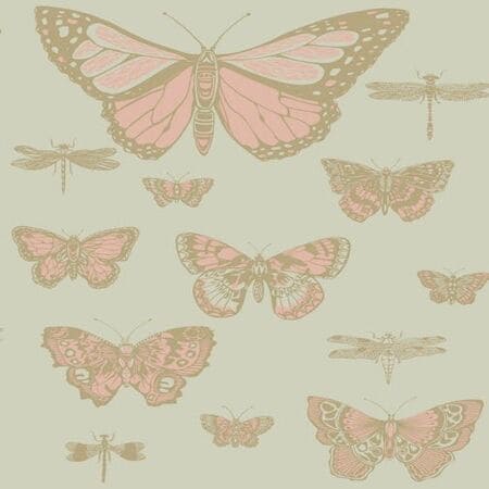 103/15063-CS BUTTERFLIES & DRAGONFLIES Pink On Olive Cole & Son Wallpaper