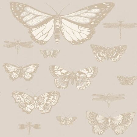 103/15064-CS BUTTERFLIES & DRAGONFLIES Grey Cole & Son Wallpaper