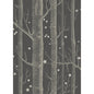 103/11053-CS WOODS & STARS Charcoal Cole & Son Wallpaper