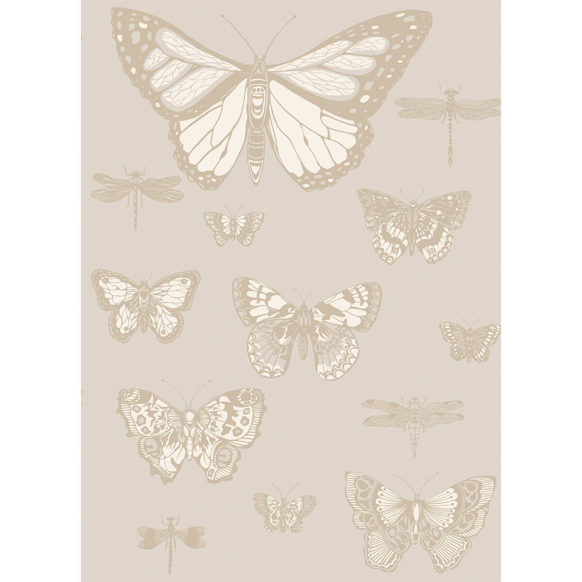 103/15064-CS BUTTERFLIES & DRAGONFLIES Grey Cole & Son Wallpaper