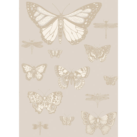 103/15064-CS BUTTERFLIES & DRAGONFLIES Grey Cole & Son Wallpaper