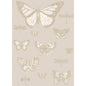 103/15064-CS BUTTERFLIES & DRAGONFLIES Grey Cole & Son Wallpaper
