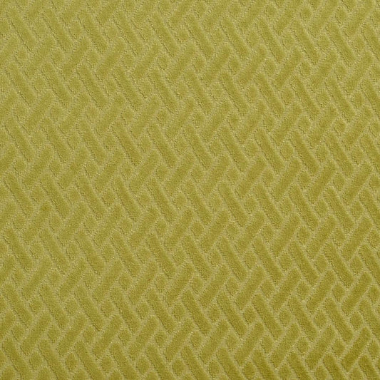 10420-11 Abstract & Geometric,Plain & Solid,Small Scale nan Green Charlotte Select