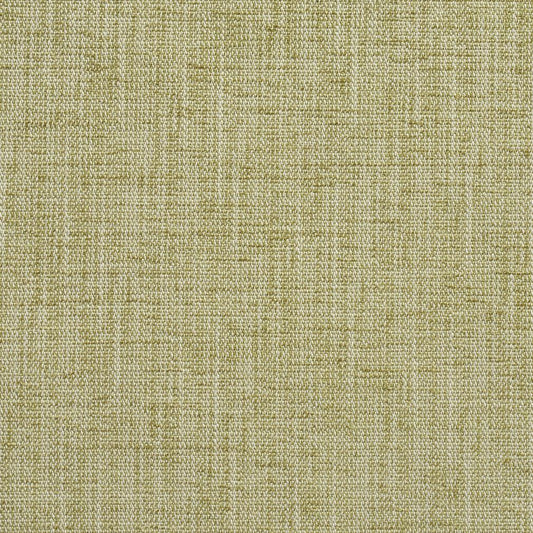 10430-01 Plain & Solid nan Green Charlotte Select