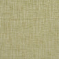 10430-01 Plain & Solid nan Green Charlotte Select