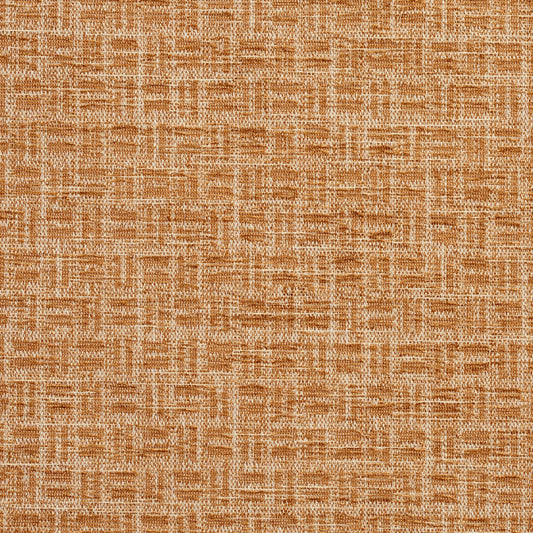 10440-08 Small Scale nan Brown Charlotte Select