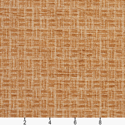10440-08 Small Scale nan Brown Charlotte Select