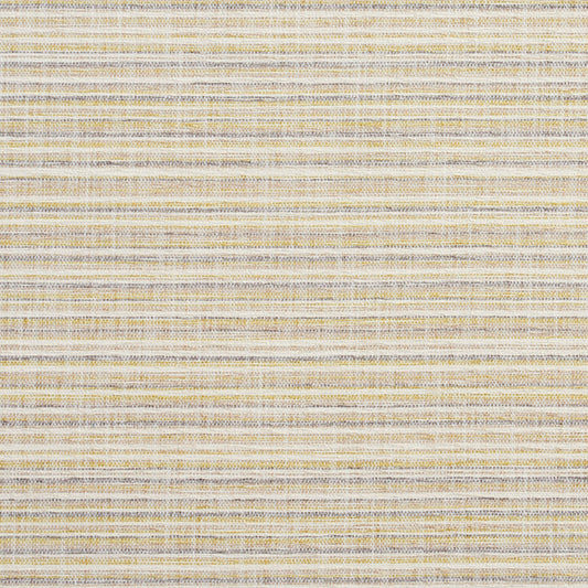 10460-01 Small Scale,Stripe nan Green Charlotte Select