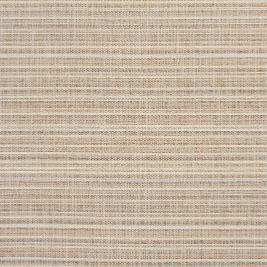 10460-03 Small Scale,Stripe nan Beige & Taupe Charlotte Select