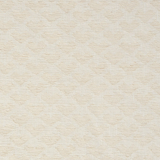 10470-07 Abstract & Geometric,Small Scale nan White & Ivory Charlotte Select