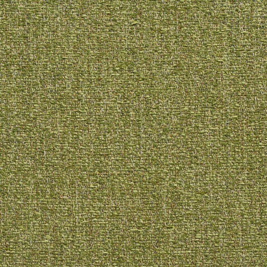 10510-03 Plain & Solid nan Green Charlotte Select