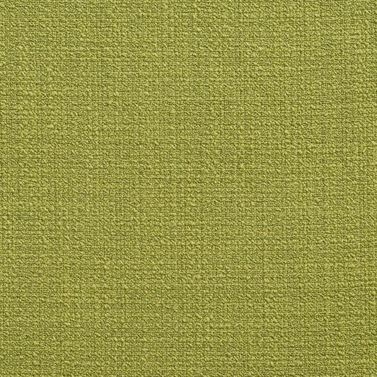 10530-07 Plain & Solid nan Green Charlotte Select