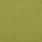 10530-07 Plain & Solid nan Green Charlotte Select