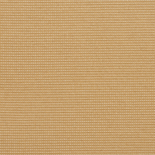 10600-01 Plain & Solid nan Beige & Taupe Charlotte Select