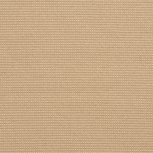 10600-04 Plain & Solid nan Beige & Taupe Charlotte Select