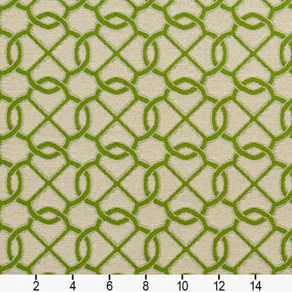 10610-03 Abstract & Geometric nan Green Charlotte Select