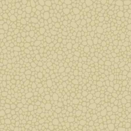 106/2024-CS PEBBLE Latte Cole & Son Wallpaper