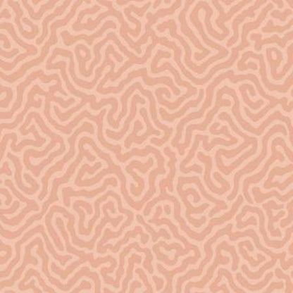 106/5075-CS CORAL Salmon Cole & Son Wallpaper