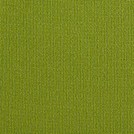 10670-03 Plain & Solid nan Green Charlotte Select