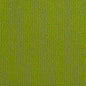 10670-03 Plain & Solid nan Green Charlotte Select