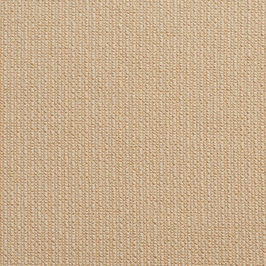 10670-05 Plain & Solid nan Beige & Taupe Charlotte Select