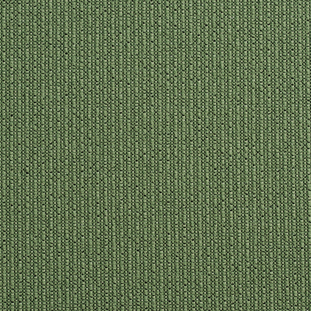10670-07 Plain & Solid nan Green Charlotte Select
