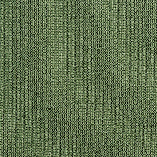 10670-07 Plain & Solid nan Green Charlotte Select