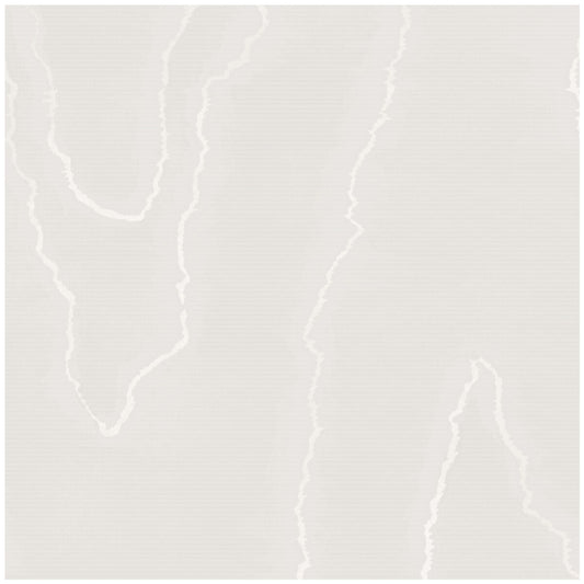 106/1001-CS WATERED SILK Silver Cole & Son Wallpaper