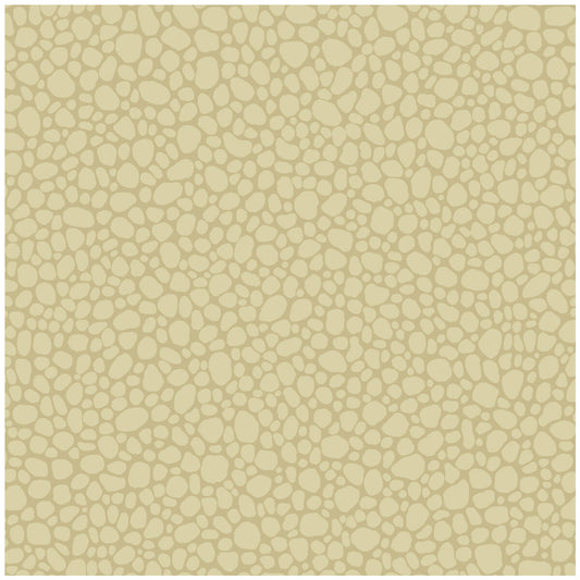 106/2024-CS PEBBLE Latte Cole & Son Wallpaper