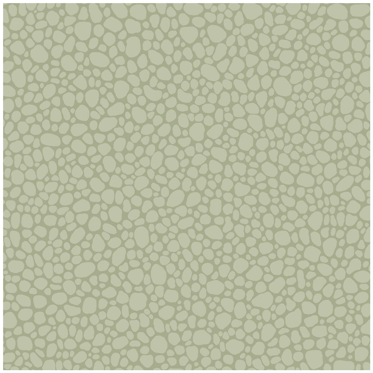 106/2027-CS PEBBLE Sage Cole & Son Wallpaper