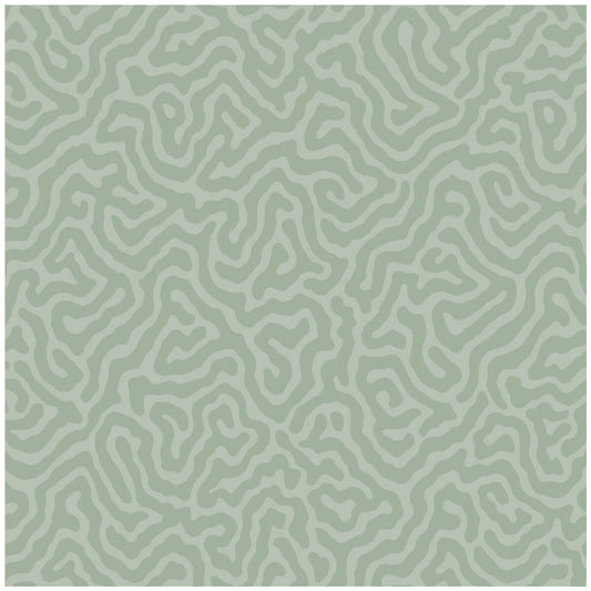 106/5066-CS CORAL Sage Cole & Son Wallpaper