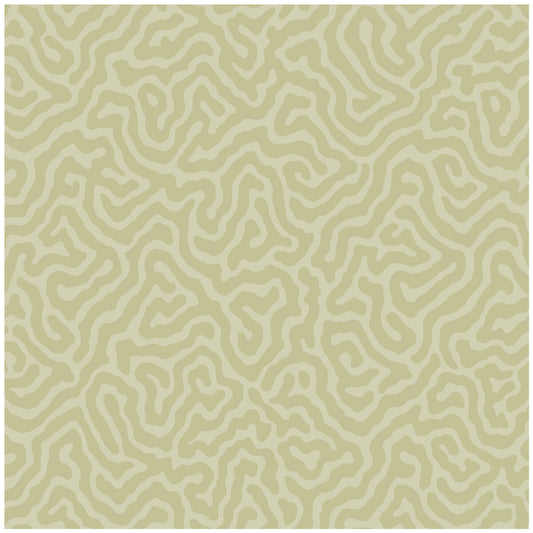 106/5067-CS CORAL Old Olive Cole & Son Wallpaper