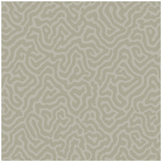 106/5073-CS CORAL Stone Cole & Son Wallpaper